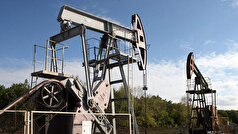 یک تحلیلگر در مورد احتمال جایگزینی نفت روسیه در هند ابراز تردید کرد.