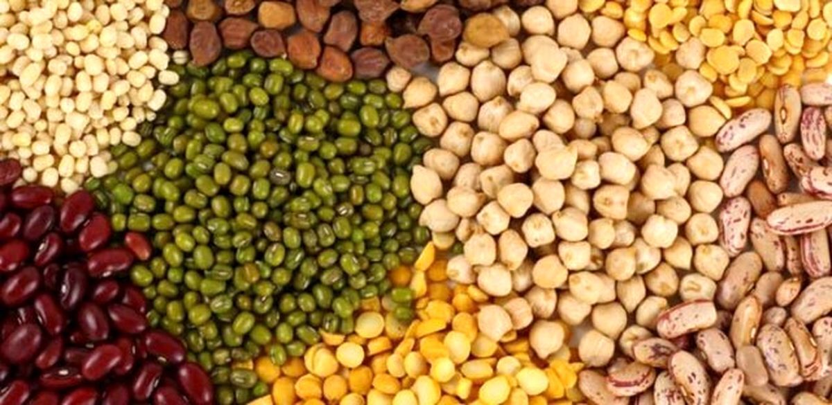 سطح کلسترول بد خون را با این حبوبات پایین بیاورید