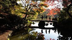 زاخارووا این شرط را برای از سرگیری گفت‌و‌گو بین روسیه و ژاپن عنوان کرد.