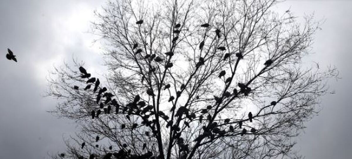 تاج‌بخش: مهر بی‌بارش‌ترین ماه ۴۰ سال اخیر بود