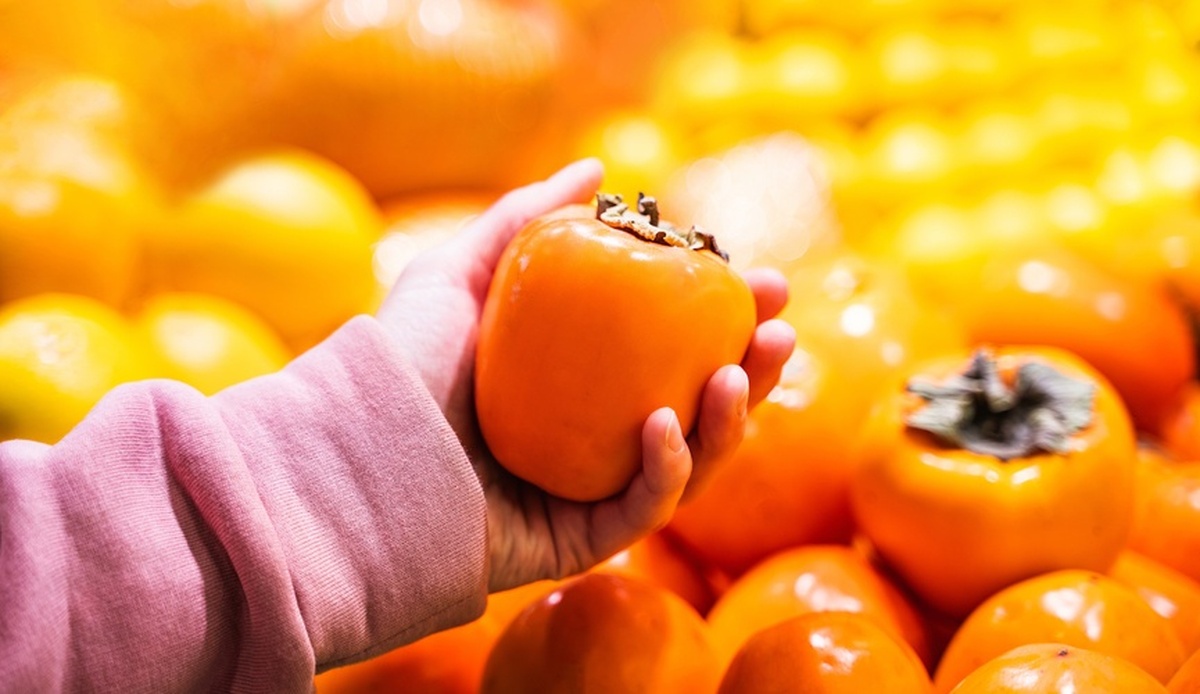 کارشناسان در مورد انتخاب خرمالو‌های رسیده و خوشمزه توصیه‌هایی ارائه دادند