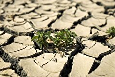 دانشمندان عامل اصلی گرمای شدید را شناسایی کرده‌اند