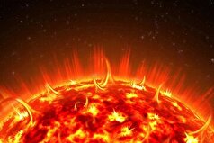 یک فکت جالب درباره 