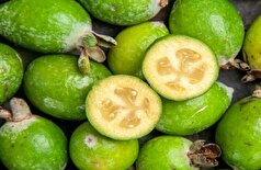 مهمترین فواید فیجوا برای سلامتی