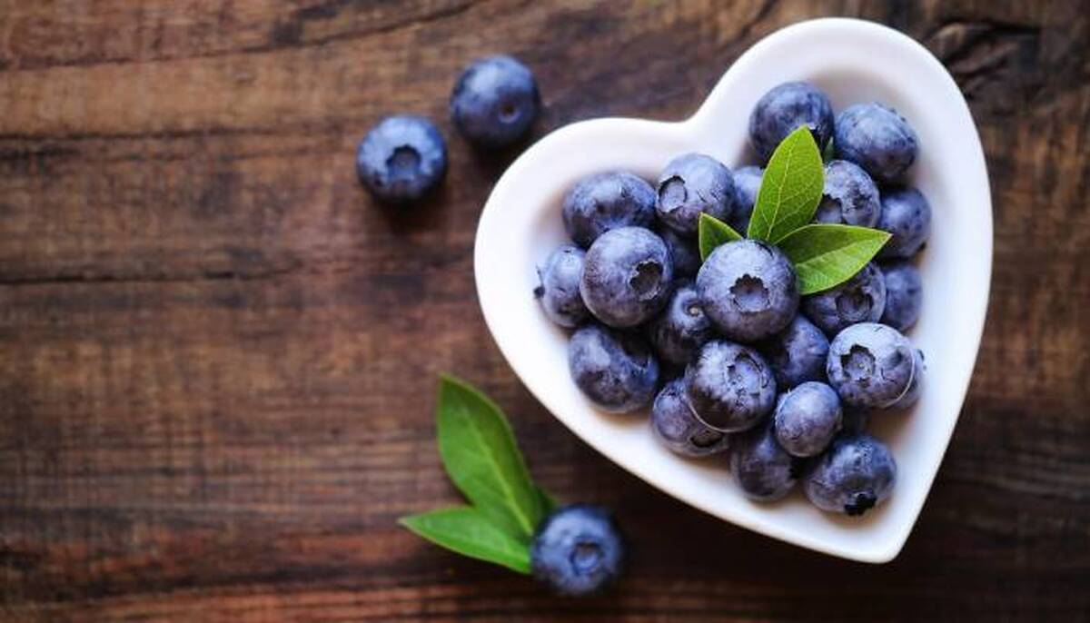 متخصصان نوعی توت شناسایی کرده‌اند که می‌تواند به حفظ جوانی کمک کند