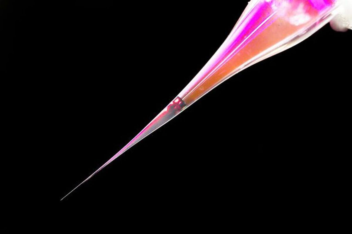 دانشمندان پیپتی ساخته‌اند که قادر است سلول‌های مغز را با دقت هدف قرار دهد