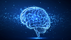 زوال شناختی در نتیجه مصرف این مواد غذایی بروز پیدا میکند!