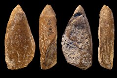 نئاندرتال‌ها ممکن است مداد شمعی داشته باشند!