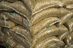 چین خریدار سویای آمریکا نشد