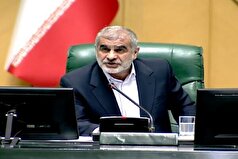 نیکزاد: امضا‌های طلایی همچنان وجود دارد/ وزیر اقتصاد مانع صدور مقررات خلق الساعه شود