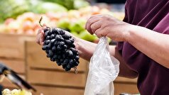 دانشمندان چینی میوه‌هایی را شناسایی کرده‌اند که برای افراد مبتلا به فشار خون بالا مضر هستند.