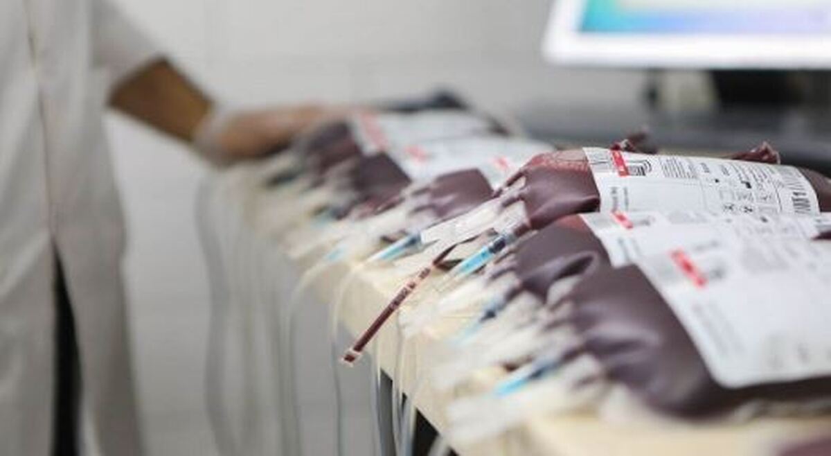 اهدای بیش از یک میلیون و ۴۰۰ هزار واحد خون طی ۷ ماه امسال