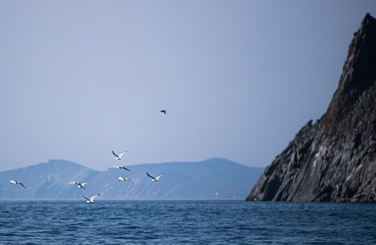 طراح تونل بین چوکوتکا و آلاسکا هزینه این پروژه را فاش کرد