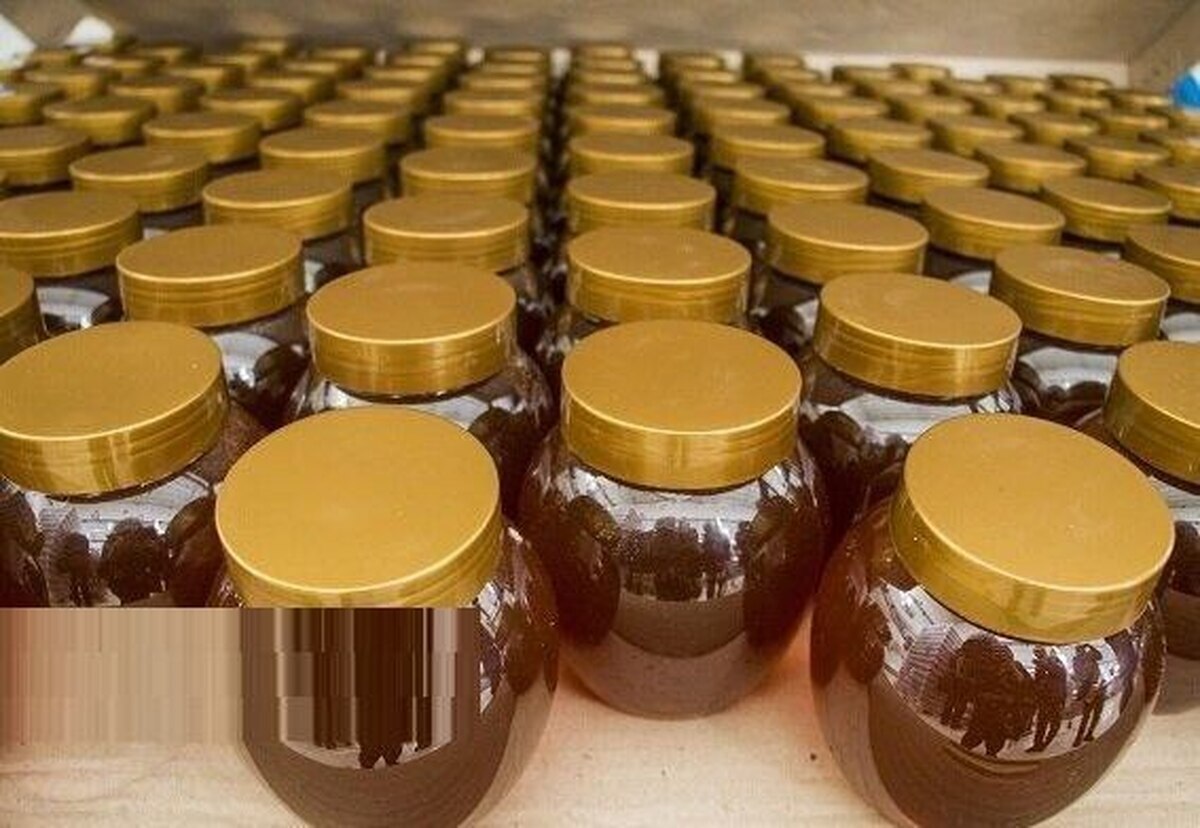 کشف عسل‌های غیر بهداشتی با ارزش بیش از ۱۳ میلیارد ریال در طبس