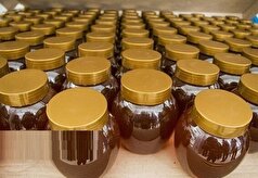 کشف عسل‌های غیر بهداشتی با ارزش بیش از ۱۳ میلیارد ریال در طبس