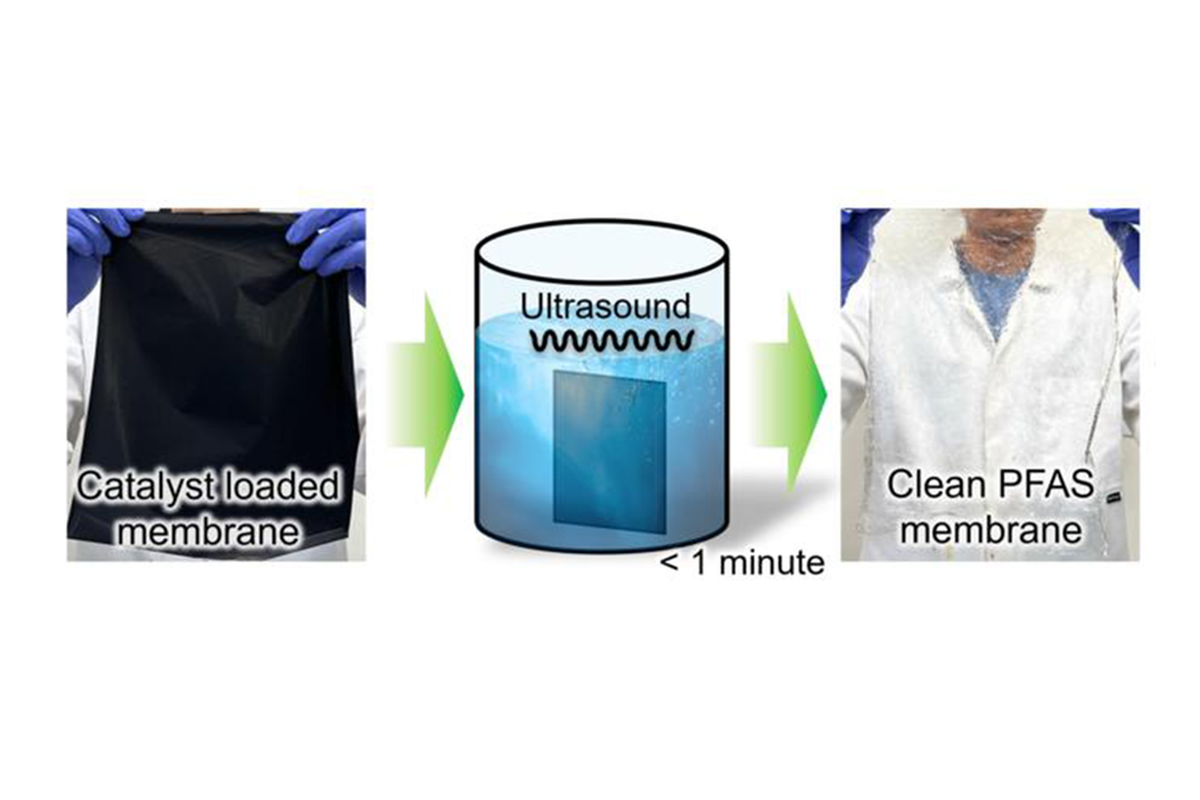 سونوگرافی در مبارزه با 