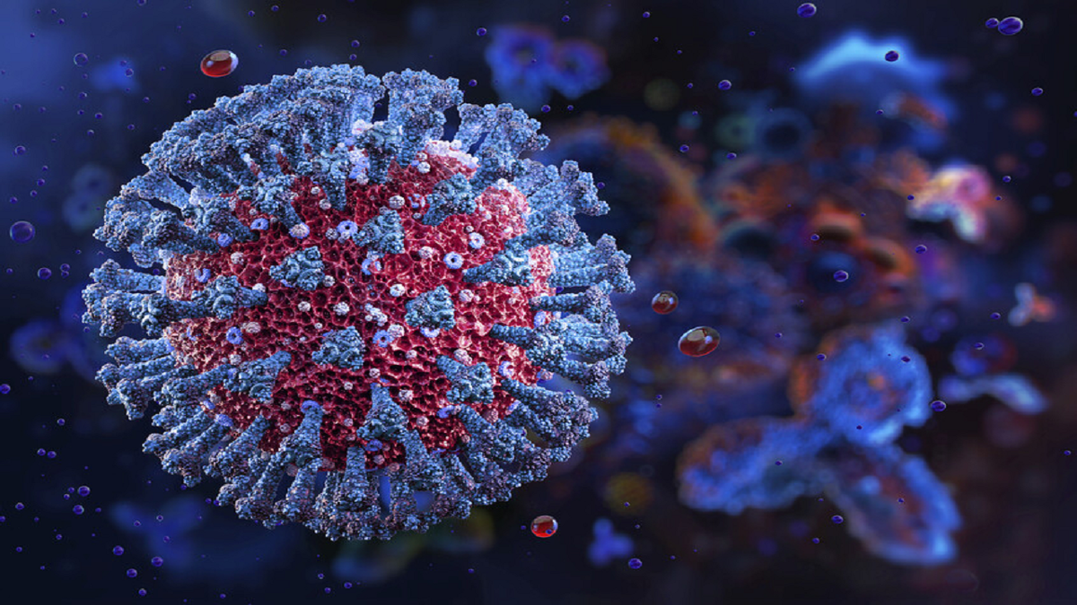 کووید-۱۹ در زمان بارداری به جنین منتقل میشود!