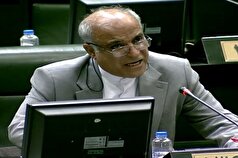 زارعی: مجلس باید در خصوص حذف ارز ترجیحی تصمیم بگیرد