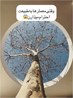 نگاهی به شاهکار‌های طبیعت دوستانه معماران، بدون قطع درختان