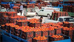 ازبکستان متعهد به خرید تمام میوه‌های تازه افغانستان شد