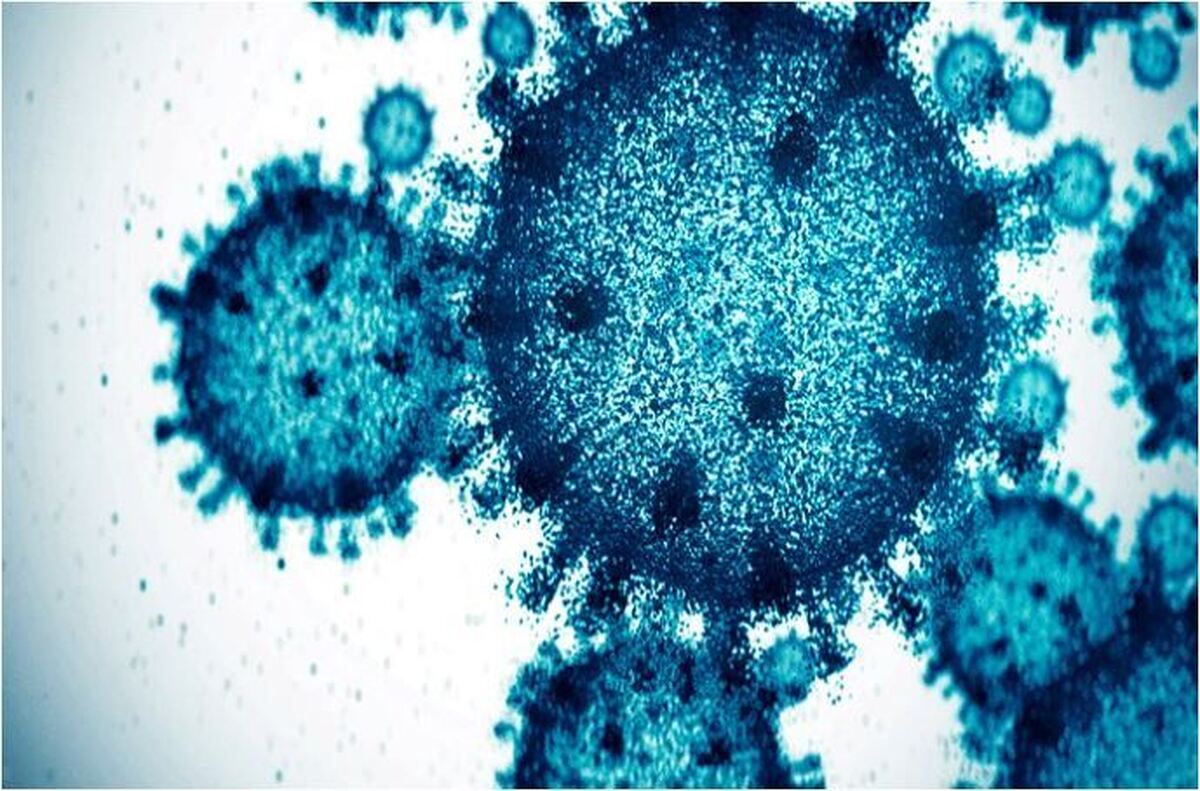 کرونا همچنان می‌تازد/هشدر موج جدید