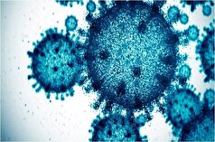 کرونا همچنان می‌تازد/هشدر موج جدید