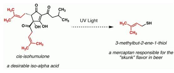 «لایتاسترایک» چیست و رنگ بطریها در نجات طعم نوشیدنی چه نقشی دارد؟ «لایتاسترایک» چیست و رنگ بطریها در نجات طعم نوشیدنی چه نقشی دارد؟