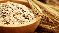 Nutrients: روغن جو دوسر در وعده صبحانه خطر چاقی، دیابت و بیماری‌های عروقی را کاهش می‌دهد