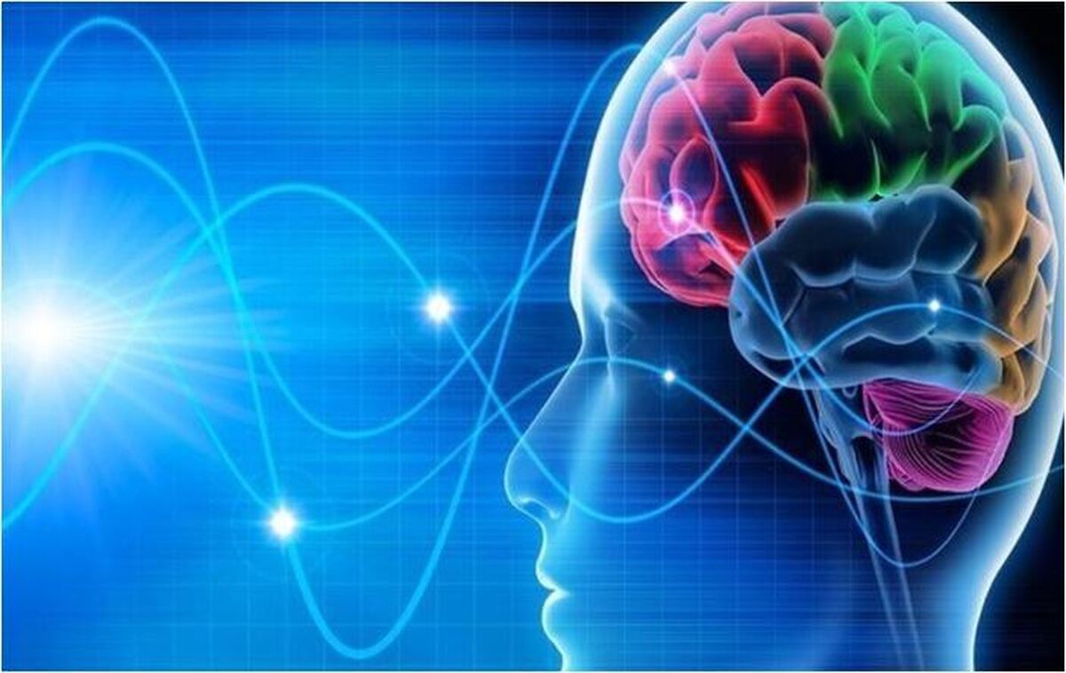 آمار مرگ میر سکته‌های مغزی اعلام شد