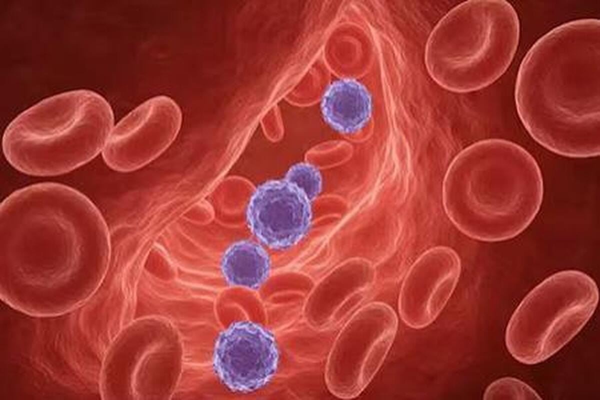 چهل و هشتمین سیستم گروه خونی کشف شد!