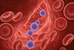 چهل و هشتمین سیستم گروه خونی کشف شد!