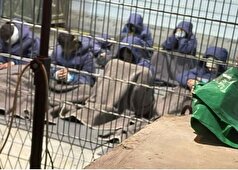 در اسرائیل، تجاوز به زندانیان فلسطینی موجه است؛ افشای فیلم خیانت