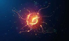 شیرین‌کننده‌های مصنوعی پاسخ به درمان‌های سرطان را تضعیف می‌کنند