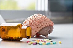 تغذیه‌های مفید برای بهبود وضعیت مه مغزی و اختلالات مغزی