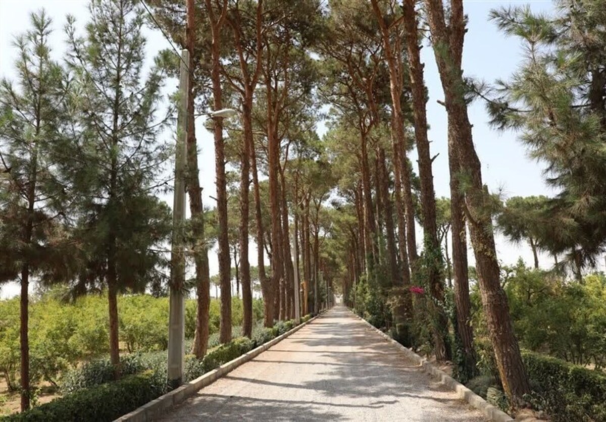 امضای تفاهم گسترش گردشگری بین شهرداری‌های استان یزد