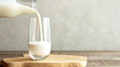 مقایسه خواص شیر جو دوسر با شیر گاو