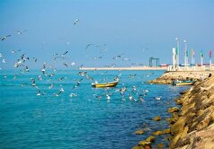 وضعیت دریایی آرام در خلیج فارس تا دوشنبه هفته آینده