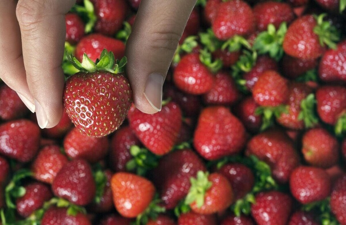 خطرات پنهان توت فرنگی