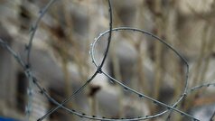 کمیسیون اروپا به مشکل مداوم شکنجه در زندان‌های اوکراین اشاره کرد.