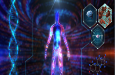 ارتباط شگفت‌انگیز بین «ژن سرعت» و پاسخ عضلات به هورمون مردانه