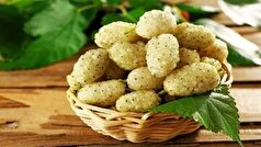 ۹ فایده بی نظیر «توت سفید»، از جوان سازی پوست تا بهبود فشار خون