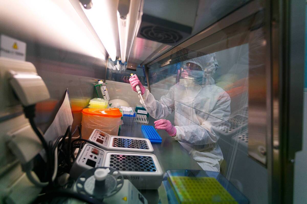 زیست‌شناسان کشف کرده‌اند که چگونه آنتی‌بادی‌ها پروتئین سطحی ویروس کرونا را «تکه تکه» می‌کنند