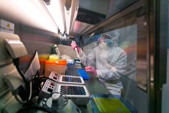 زیست‌شناسان کشف کرده‌اند که چگونه آنتی‌بادی‌ها پروتئین سطحی ویروس کرونا را «تکه تکه» می‌کنند