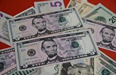 ایالات متحده نیم میلیارد دلار در یک پروژه مواد معدنی کمیاب برزیلی سرمایه‌گذاری می‌کند