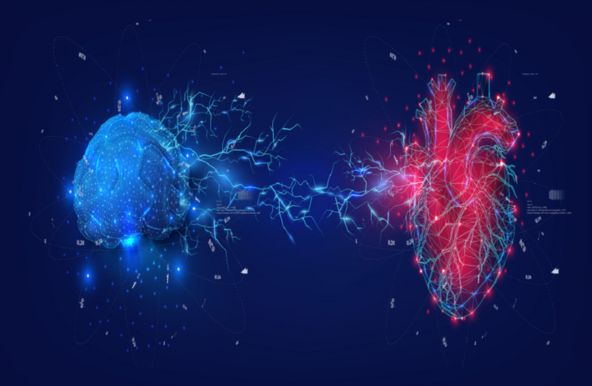 ارتباط مستقیم بین ضعف عضله قلب و زوال عقل در پیری