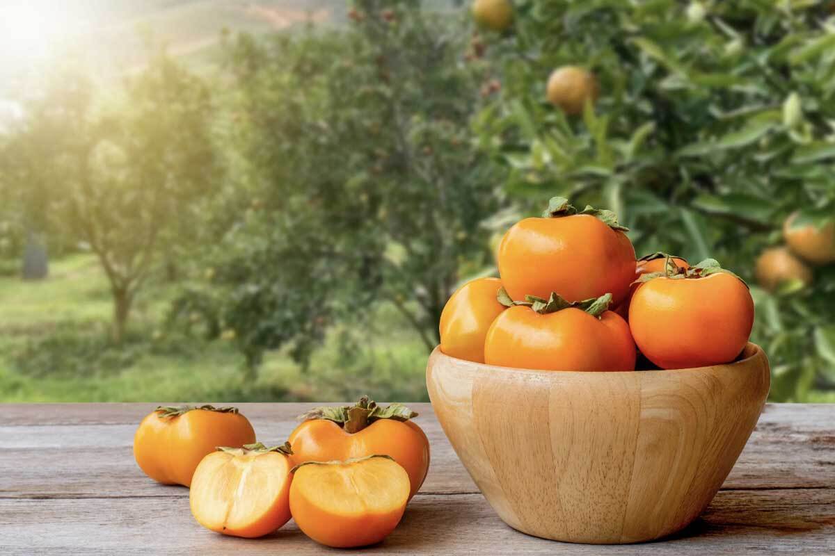 چه کسانی نباید خرمالو مصرف کنند؟