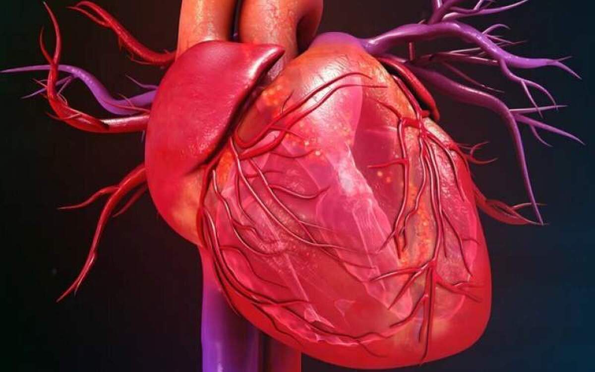 سلول‌های بنیادی روش درمانی جدید برای نارسایی قلبی!