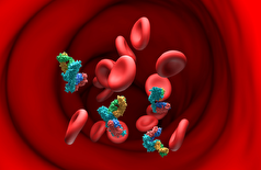 دارو‌های رایج روزانه «تأثیر منفی» بر درمان سرطان سینه دارند