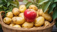 با قرار داد یک سیب در ظرف سیب زمینی‌ها از جوانه زدن و رشد کپک آنها جلوگیری کنید!
