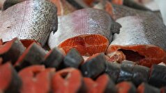 یک پزشک بهترین غذا‌ها را برای حفظ ایمنی در اواخر پاییز به اشتراک گذاشت.